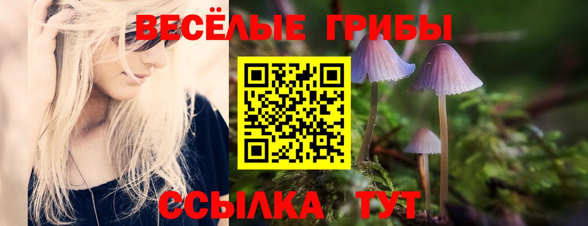 Биробиджан  Галлюциногенные грибы мицелий  Псилоцибиновые грибы GOLDEN TEACHER  Вход с VPN 